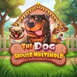 The Dog House Multihold game at Palm Casino for United Kingdom players